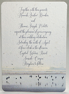 Coastal Birds Print Panel Invitation