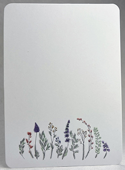 Color sketch Print