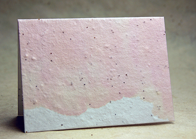 Pink Watercolor in Cotton