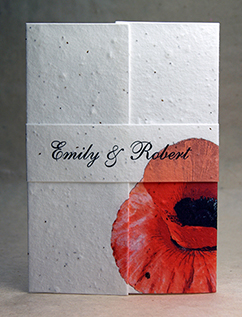 Poppy Paper Panel Invitation