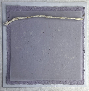 6x6 cotton invitation 