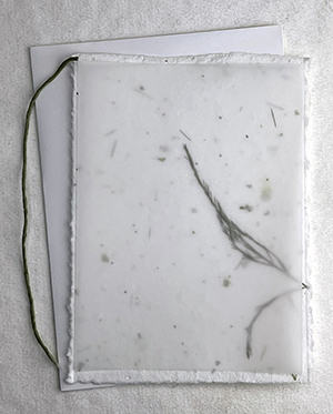 4.5x6 cotton invitation