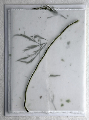 6x9 cotton invitation print at home