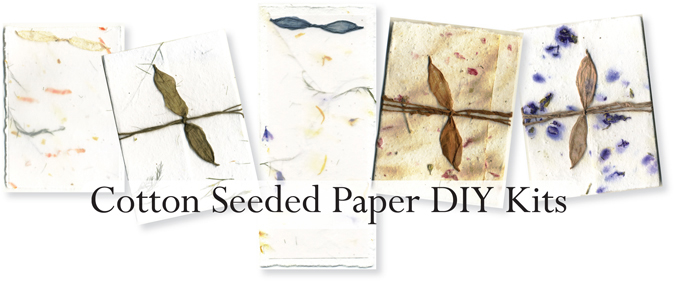 seed paper diy kits