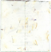 6x12 Square Fold Invitation on Marigold Paper