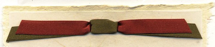 Yew and Kochia Earth Satin 3/8" ribbon