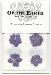 Lavender Larkspur
