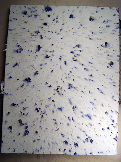 flat purple larkspur paper