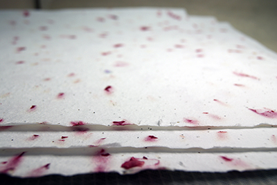 handmade petal paper