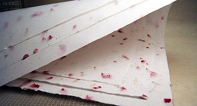 red carnation paper