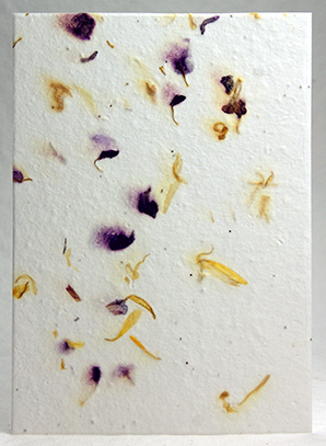 Purple stock and marigold petal handmade paper
