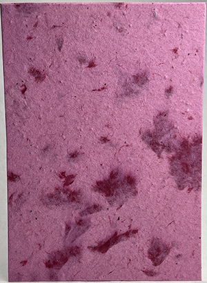 seeds and lotka fibers handmade paper