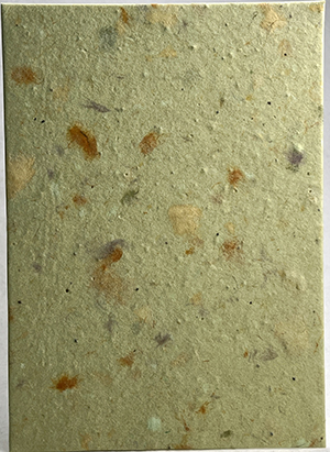 seeds and lotka fibers handmade paper