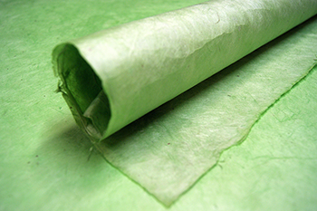 green celery lotka handmade paper