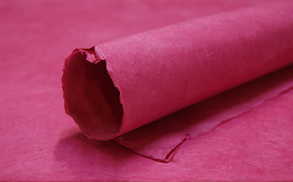 Magenta lotka paper